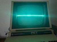 PXL_20240712_163449736.jpg