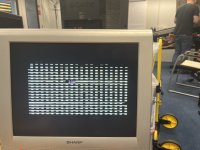 IMG_2959.jpeg