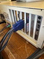 IMG_2095.jpeg