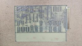 20250325_151313.jpg