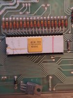 20250410_222825.jpg