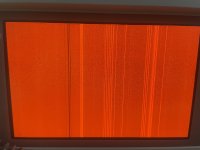 IMG_5311.jpeg