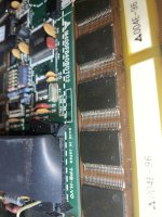 IMG_5195.jpeg