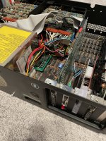 IMG_3639.jpeg