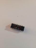 20230923_162501.jpg