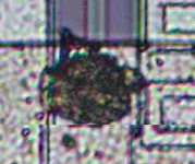Screenshot_2024-01-03_13-00-11.png